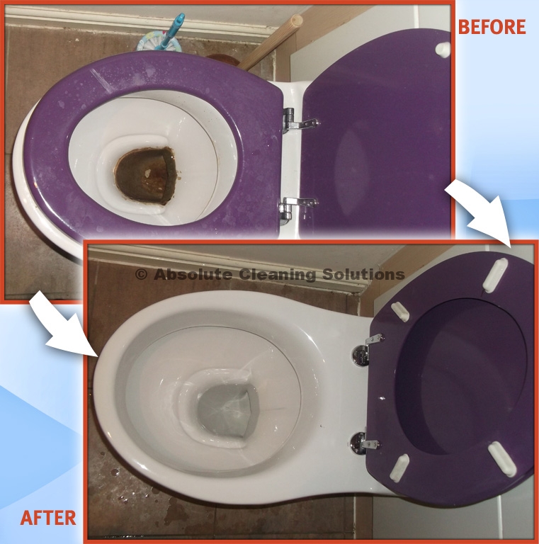 Toilet Cleaning in Radlett